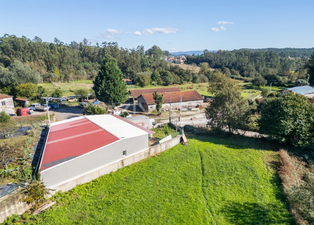 Armazém para Venda em Freiriz Foto 21