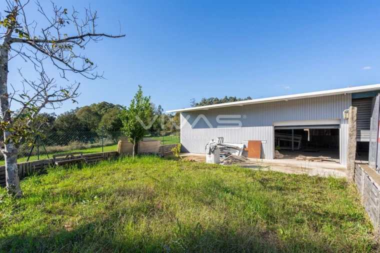 Armazém para Venda em Freiriz Foto 14