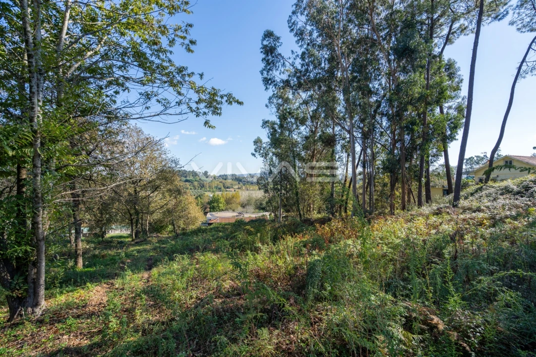Terreno para Venda em Loureira Foto 8