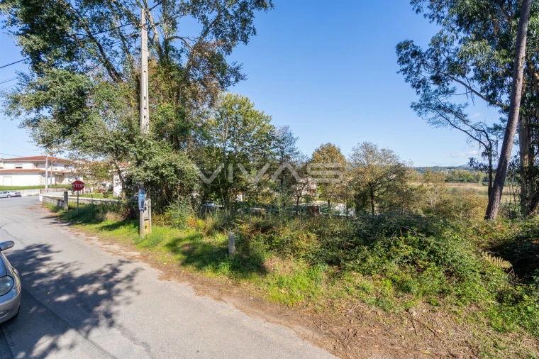 Terreno para Venda em Loureira Foto 5