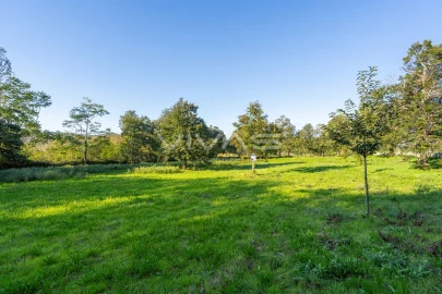 Terreno para Venda em Adaufe