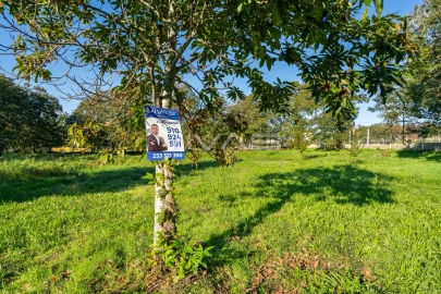 Terreno para Venda em Adaufe