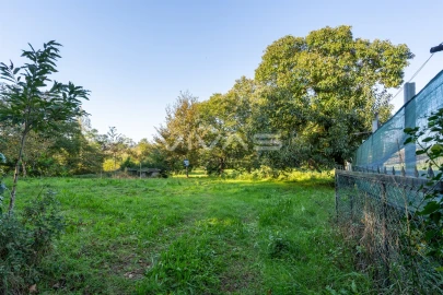 Terreno para Venda em Adaufe