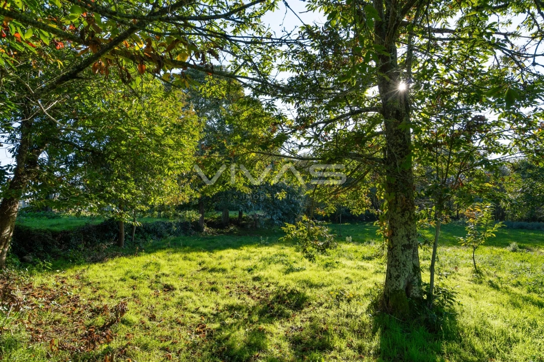 Terreno para Venda em Adaufe Foto 17