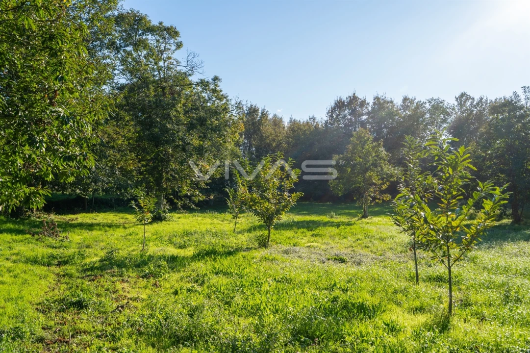 Terreno para Venda em Adaufe Foto 12