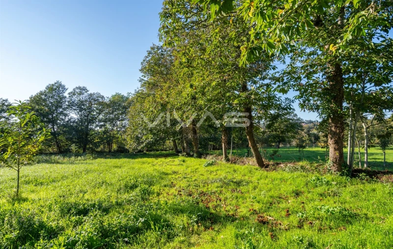 Terreno para Venda em Adaufe Foto 16