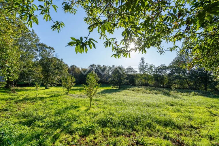 Terreno para Venda em Adaufe Foto 11