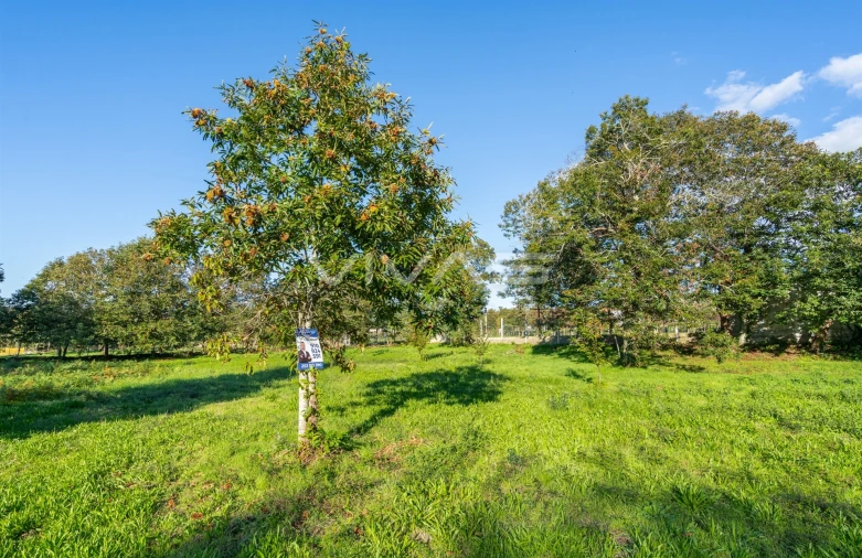 Terreno para Venda em Adaufe Foto 15