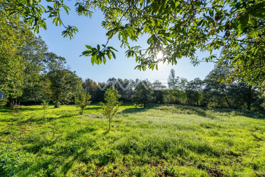 Terreno para Venda em Adaufe Foto 11