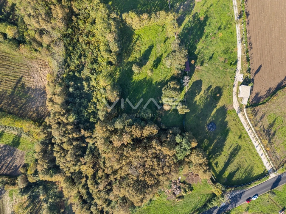 Terreno para Venda em Adaufe Foto 8