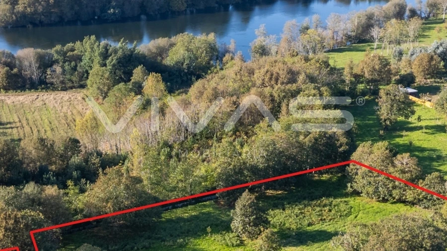 Terreno para Venda em Adaufe