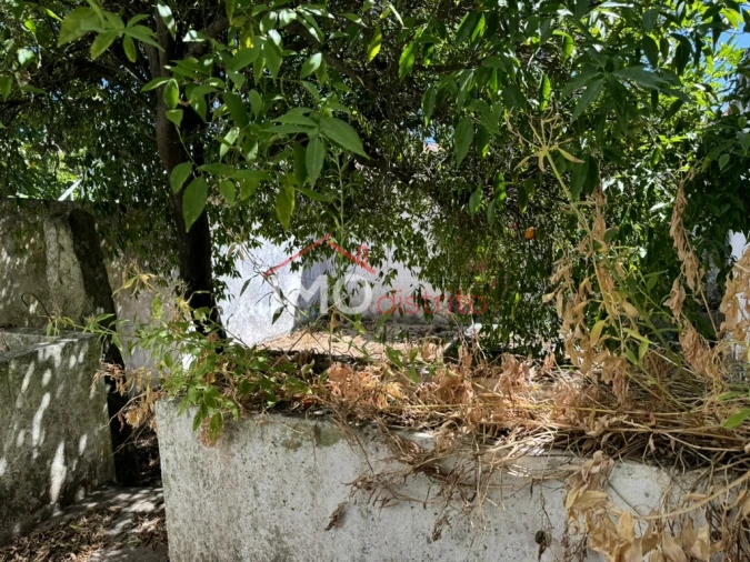 Apartamento T0 para Venda em Alpalhão Foto 15