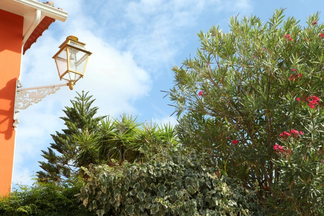 Moradia T3 para Venda em Alcobertas Foto 20