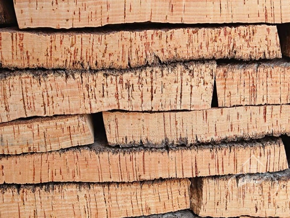 Quinta T10 para Venda em Vendas Novas Foto 3