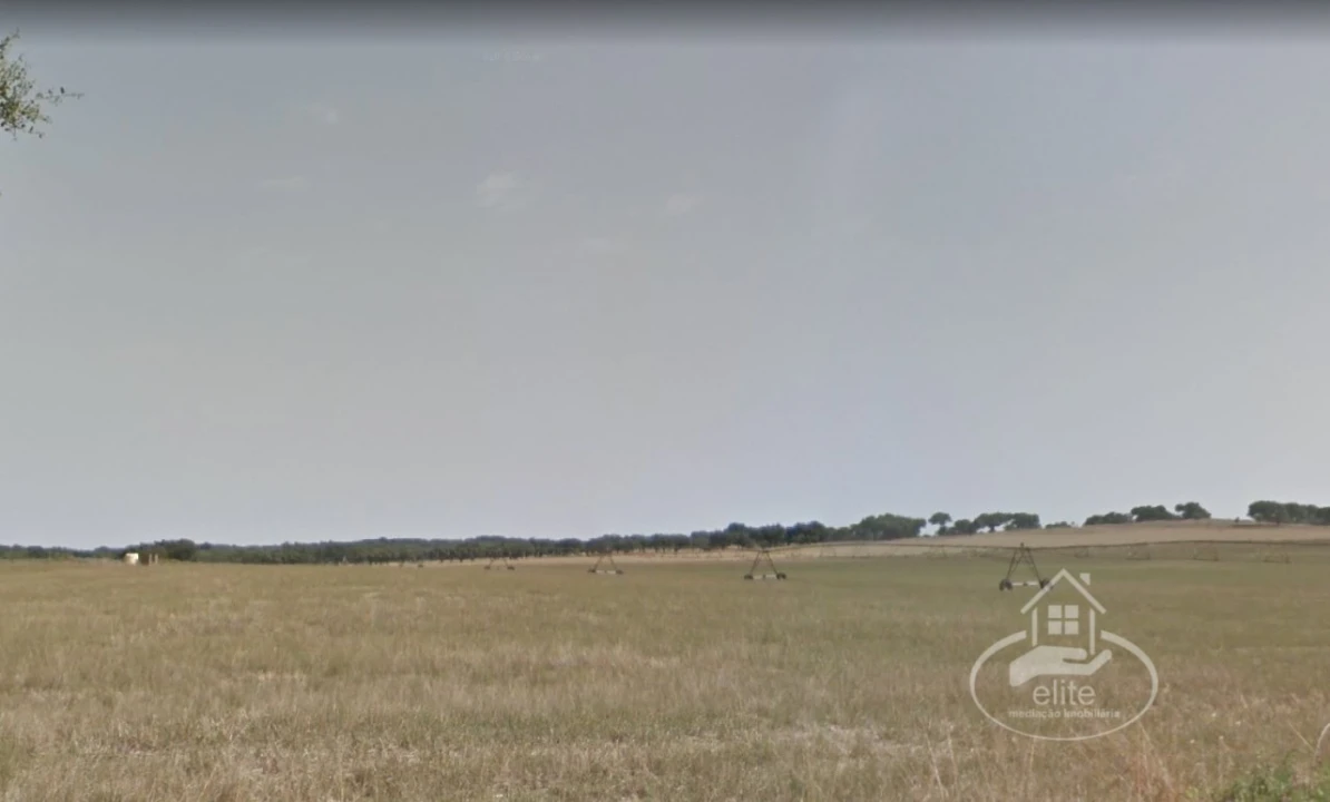 Quinta T10 para Venda em Vendas Novas Foto 7