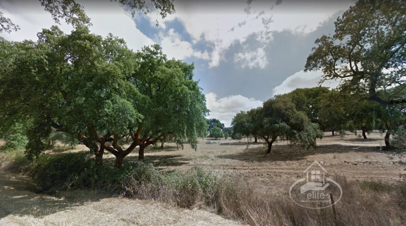 Quinta T10 para Venda em Vendas Novas Foto 8