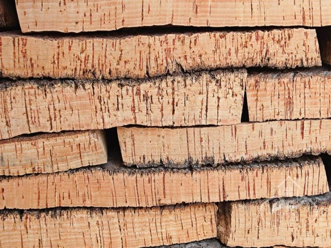 Quinta T10 para Venda em Vendas Novas Foto 3