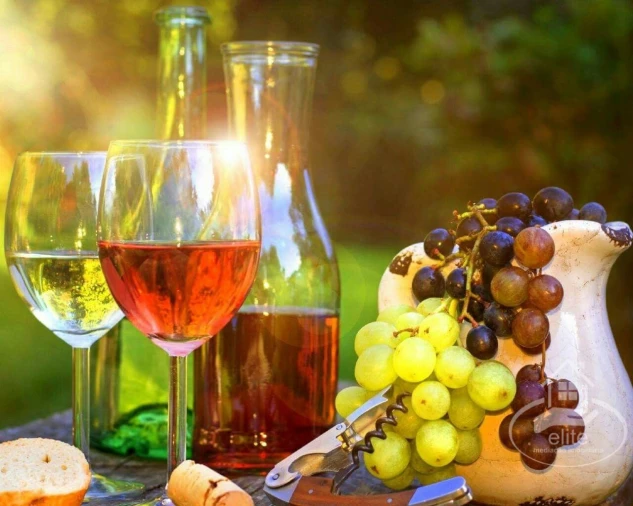 Quinta T10 para Venda em Vendas Novas Foto 4