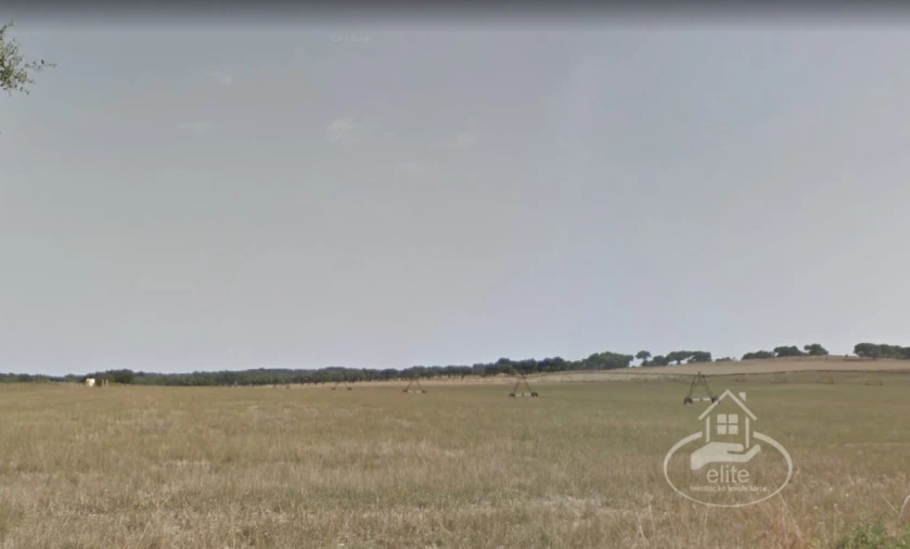 Quinta T10 para Venda em Vendas Novas Foto 7