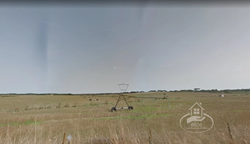 Quinta T10 para Venda em Vendas Novas Foto 9