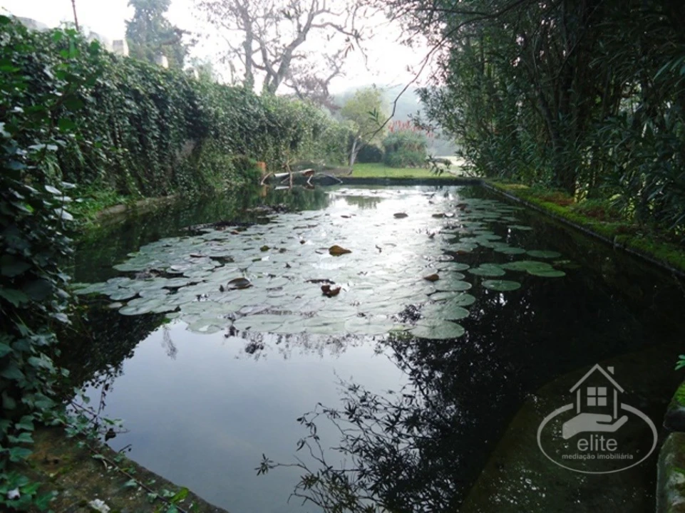 Quinta T14 para Venda em União das Freguesias de Setúbal Foto 29