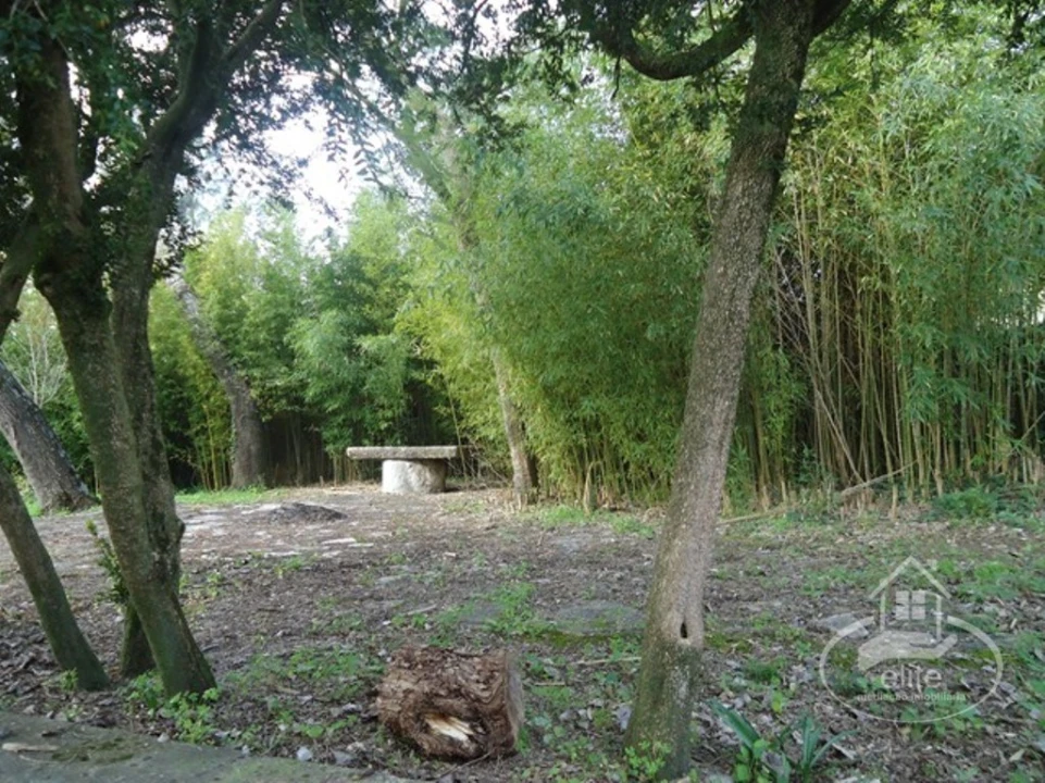 Quinta T14 para Venda em União das Freguesias de Setúbal Foto 42