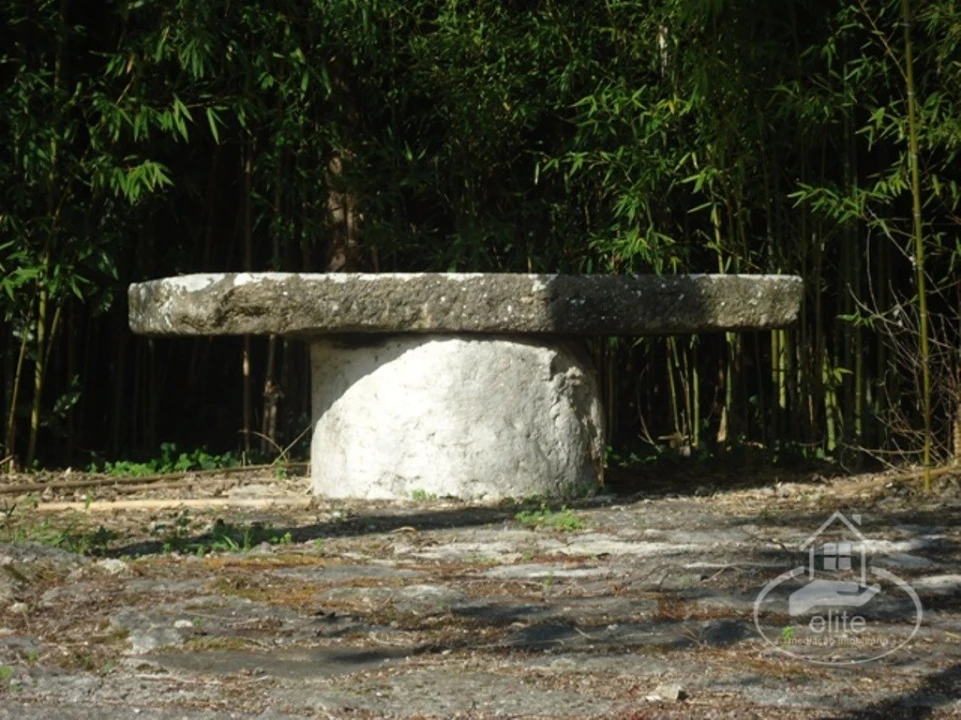 Quinta T14 para Venda em União das Freguesias de Setúbal Foto 49