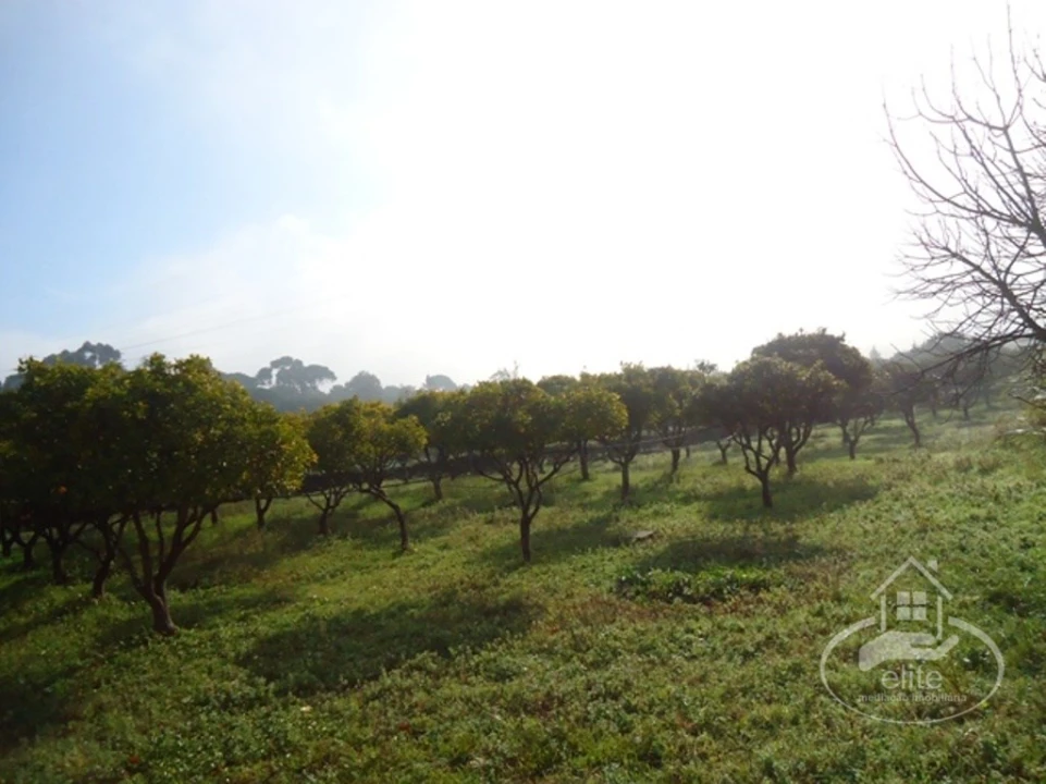 Quinta T14 para Venda em União das Freguesias de Setúbal Foto 61