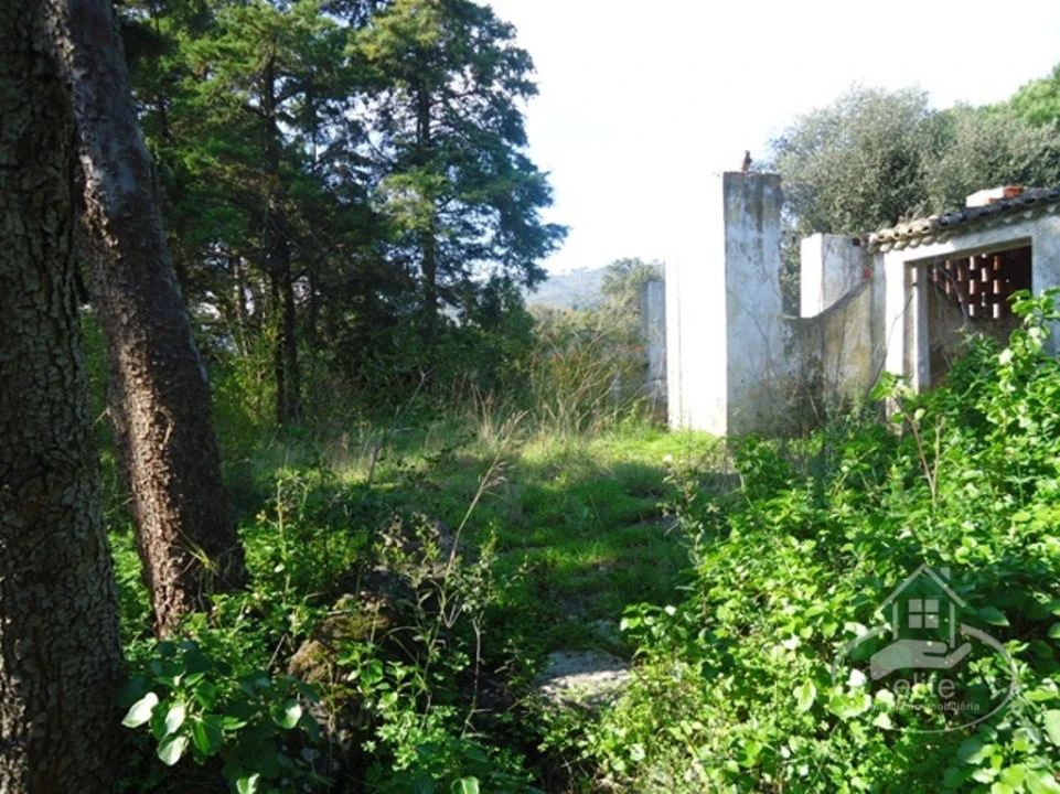 Quinta T14 para Venda em União das Freguesias de Setúbal Foto 82
