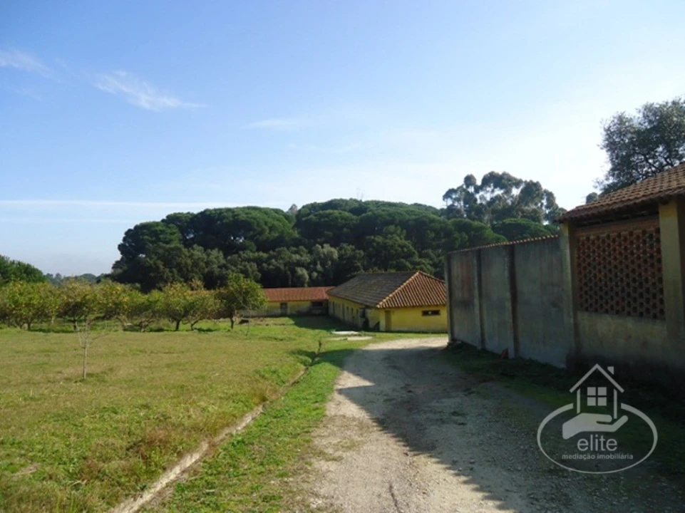 Quinta T14 para Venda em União das Freguesias de Setúbal Foto 94