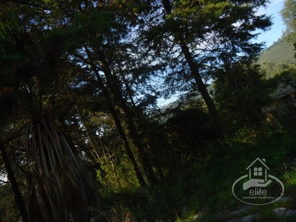 Quinta T14 para Venda em União das Freguesias de Setúbal Foto 97