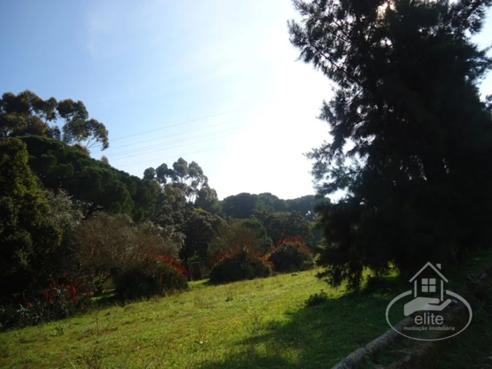 Quinta T14 para Venda em União das Freguesias de Setúbal Foto 101