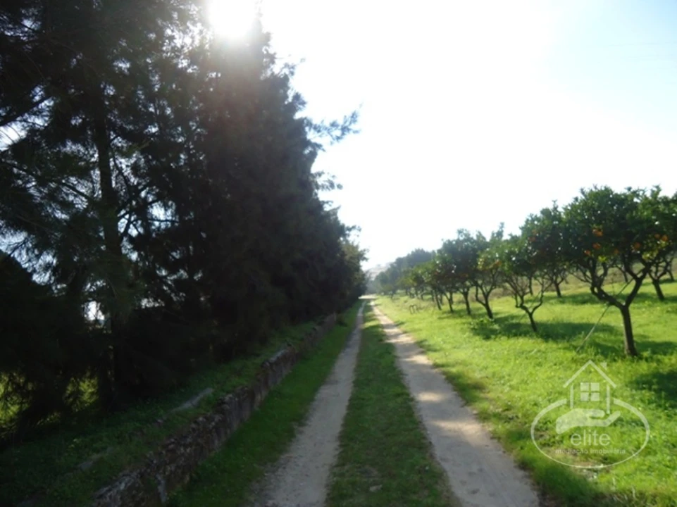 Quinta T14 para Venda em União das Freguesias de Setúbal Foto 109