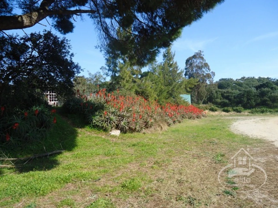 Quinta T14 para Venda em União das Freguesias de Setúbal Foto 128