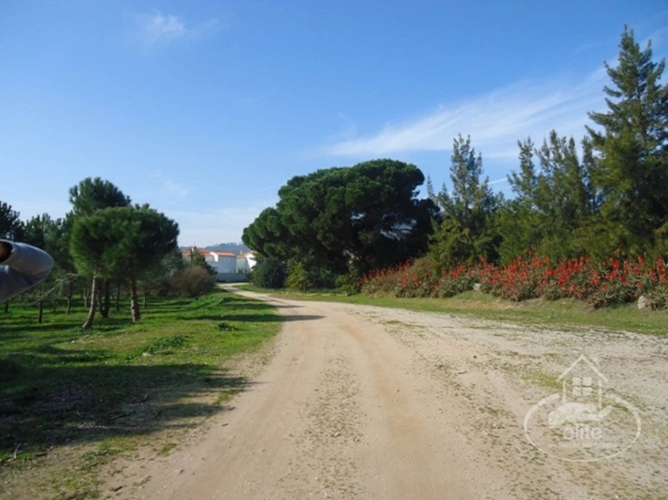 Quinta T14 para Venda em União das Freguesias de Setúbal Foto 130
