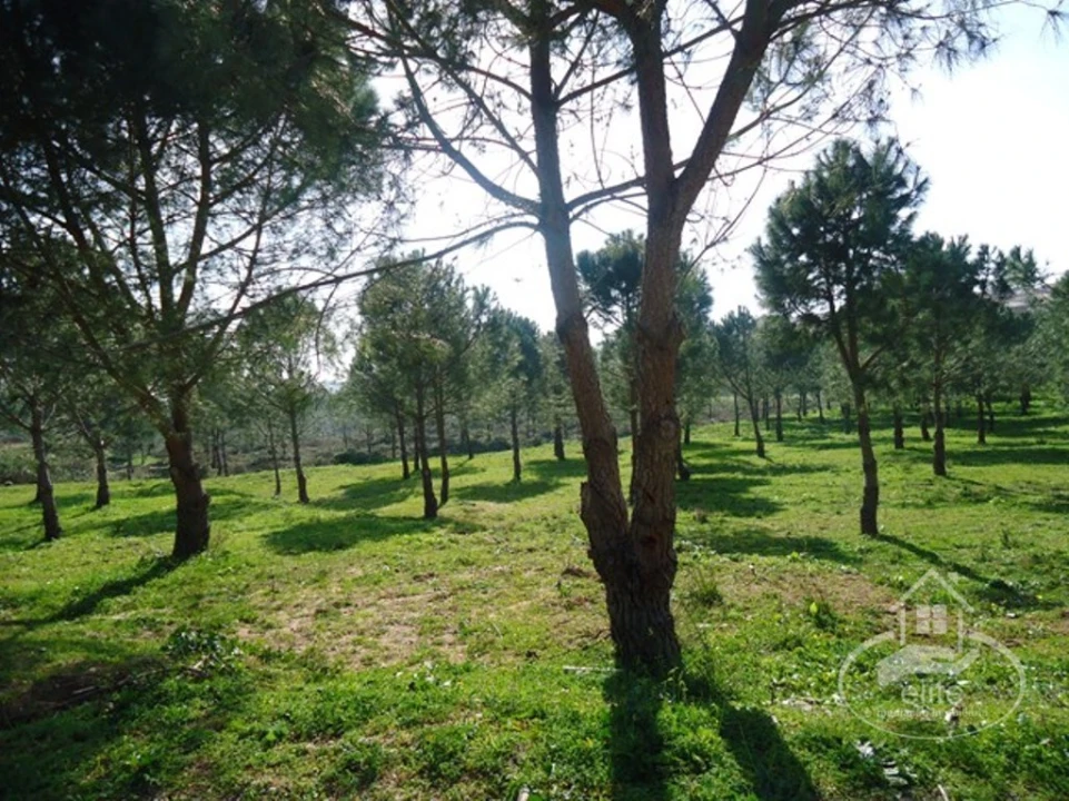 Quinta T14 para Venda em União das Freguesias de Setúbal Foto 132