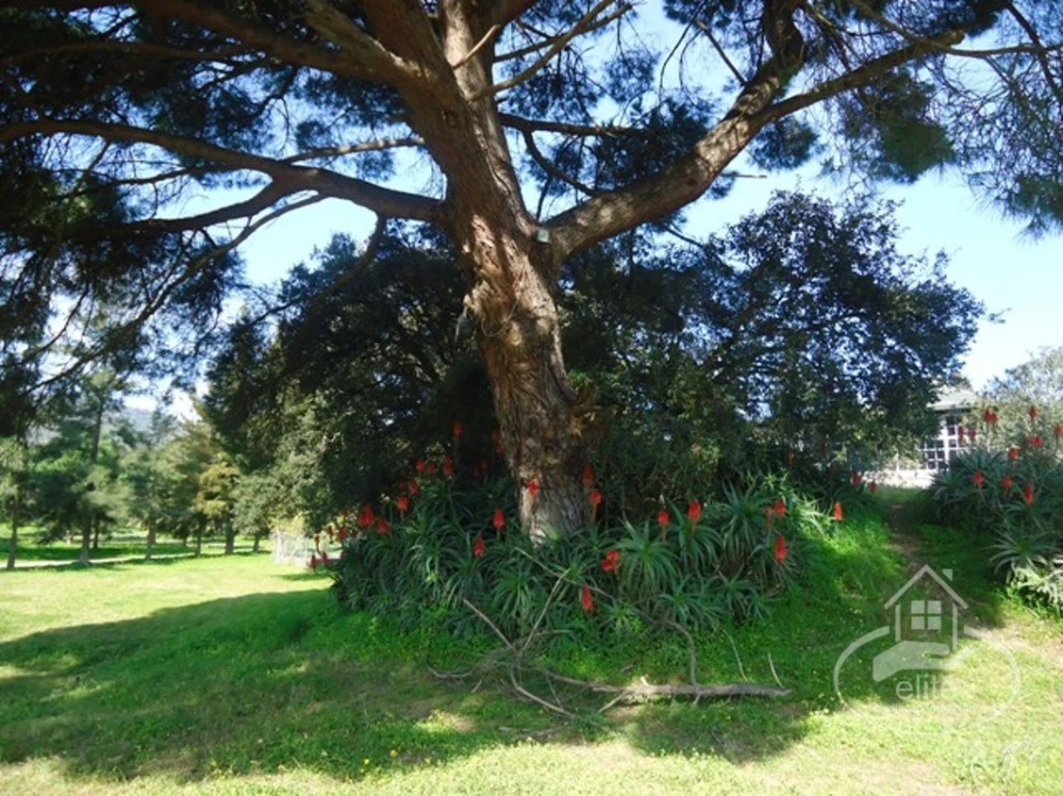 Quinta T14 para Venda em União das Freguesias de Setúbal Foto 135