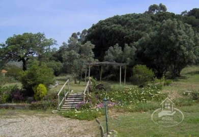 Quinta T14 para Venda em União das Freguesias de Setúbal