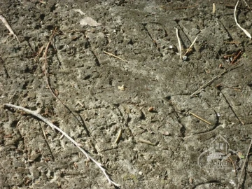 Quinta T14 para Venda em União das Freguesias de Setúbal