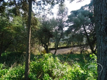 Quinta T14 para Venda em União das Freguesias de Setúbal