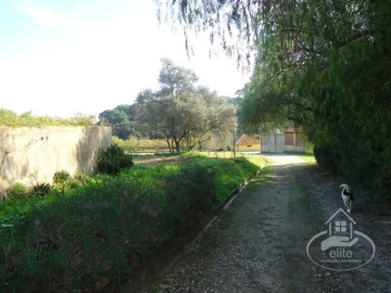 Quinta T14 para Venda em União das Freguesias de Setúbal