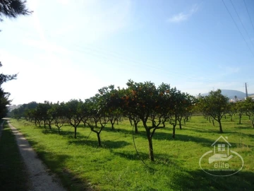 Quinta T14 para Venda em União das Freguesias de Setúbal