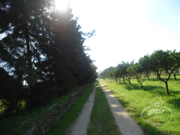 Quinta T14 para Venda em União das Freguesias de Setúbal