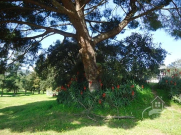 Quinta T14 para Venda em União das Freguesias de Setúbal