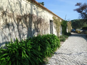 Quinta T14 para Venda em União das Freguesias de Setúbal