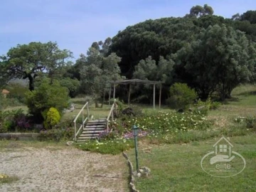 Quinta T14 para Venda em União das Freguesias de Setúbal