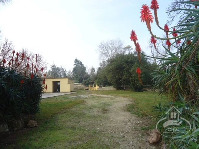Quinta T14 para Venda em União das Freguesias de Setúbal Foto 21