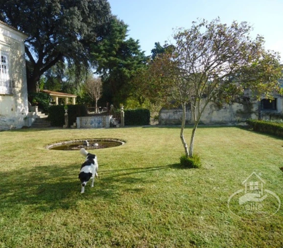 Quinta T14 para Venda em União das Freguesias de Setúbal Foto 55