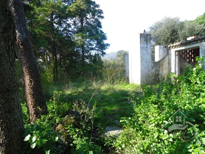 Quinta T14 para Venda em União das Freguesias de Setúbal Foto 82