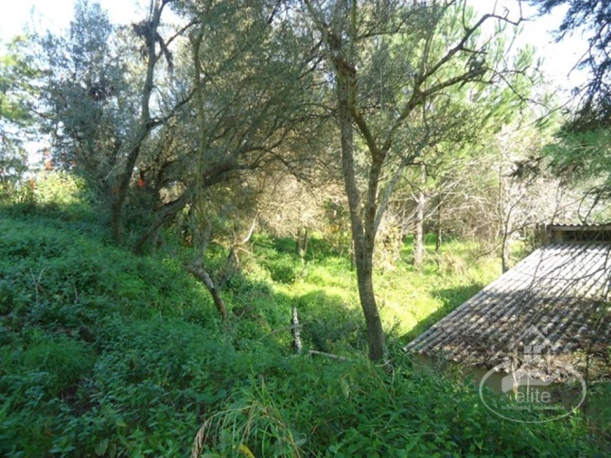 Quinta T14 para Venda em União das Freguesias de Setúbal Foto 83